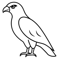 Minimalist Hawk Line Art Vector