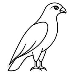 Minimalist Hawk Line Art Vector