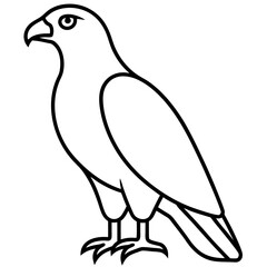 Minimalist Hawk Line Art Vector
