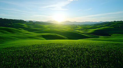 Obraz premium Vibrant Green Hills at Sunset