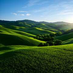Fototapeta premium Vibrant Green Rolling Hills Under a Sunny Sky