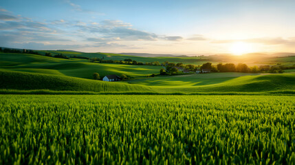 Vibrant Green Wheat Field at Sunset with Rolling Hills