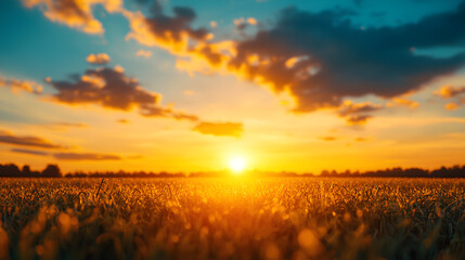 Fototapeta premium Vibrant Sunset over Golden Wheat Field