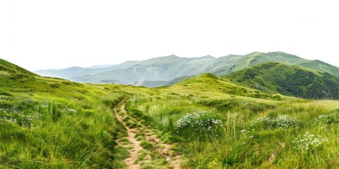 Obraz premium Summer landscape in mountains with trail isolated on white background morning good weather