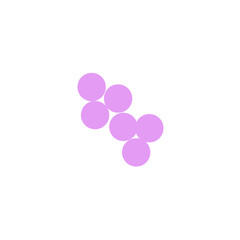 staphylococcus aureus bacteria