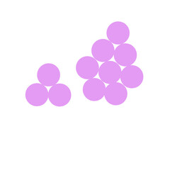 staphylococcus aureus bacteria