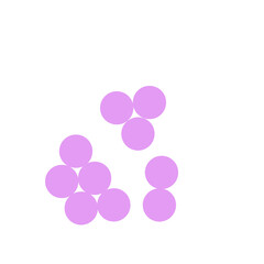 staphylococcus aureus bacteria