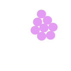 staphylococcus aureus bacteria