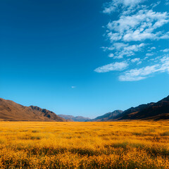 Fototapeta premium Vibrant Yellow Wildflower Field in Mountain Valley under Blue Sky