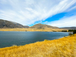 Hakatere Conservation Park , New Zealamd 2023 Feb.19