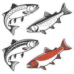 Set of Colorful Fish icon in Drawn Fishing Style