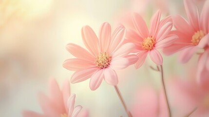 Fototapeta premium Soft watercolor flowers in pastel hues, evoking gentle beauty and serenity.
