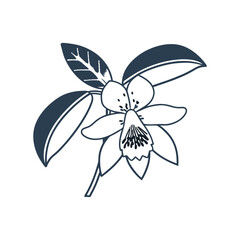 flower vector and image abstract