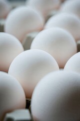 White Eggs in a Carton