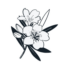 flower vector and image natural