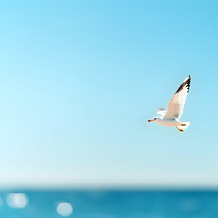 Fototapeta premium White Seagull in Flight Over Blue Ocean Under Bright Sky