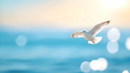 Fototapeta premium White Seagull in Flight Over Blue Ocean at Sunrise