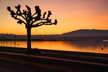Coucher du soleil sur les quais de Genève
