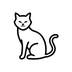 black and white cat