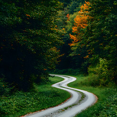 Fototapeta premium Winding Country Road Through Autumn Forest