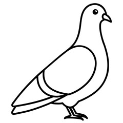 Minimalist Pigeon Line Art Vector