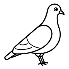 Minimalist Pigeon Line Art Vector