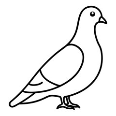 Minimalist Pigeon Line Art Vector