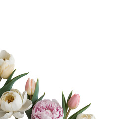 Fototapeta premium Elegant Floral Background for Designs 