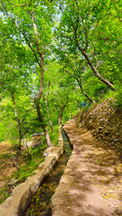 A peaceful forest path with a gentle stream and vibrant greenery, ideal for nature walks and quiet escapes.  
📍Masrachi, Kamalla 