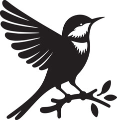 vector illustration of a bird