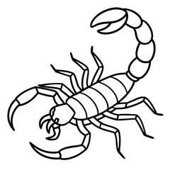 Minimalist Scorpion Line Art