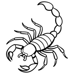 Minimalist Scorpion Line Art