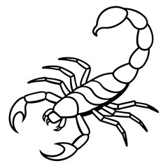 Minimalist Scorpion Line Art