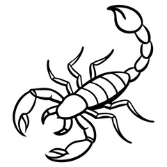 Minimalist Scorpion Line Art