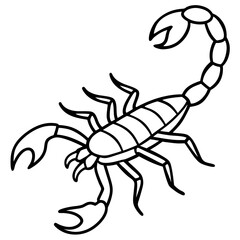 Minimalist Scorpion Line Art