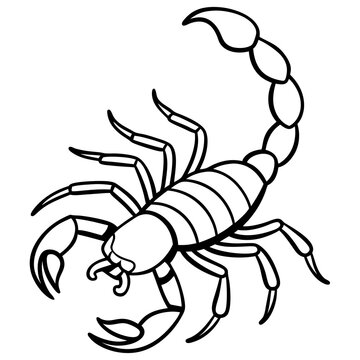 recommend clip art: Minimalist Scorpion Line Art