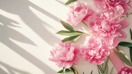 pink peonies floral arrangement in sunlight