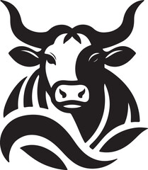 black and white cow