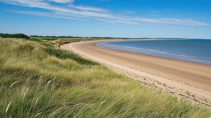 Fototapeta premium Serene Coastal Scene Sandy Beach and Rolling Dunes Under a Summer Sky