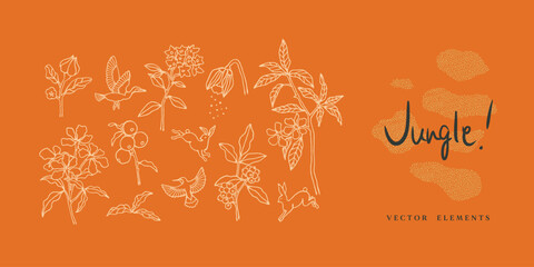 hand-drawn jungle botanical vector illustrations with exotic plants, birds, and wildlife – tropical forest line art elements