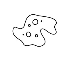 amoeba cells