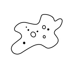 amoeba cells
