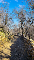 A lone horseback rider traverses a scenic trail surrounded by bare trees under a clear blue sky.
📍Hawraman Takht, Kurdistan 