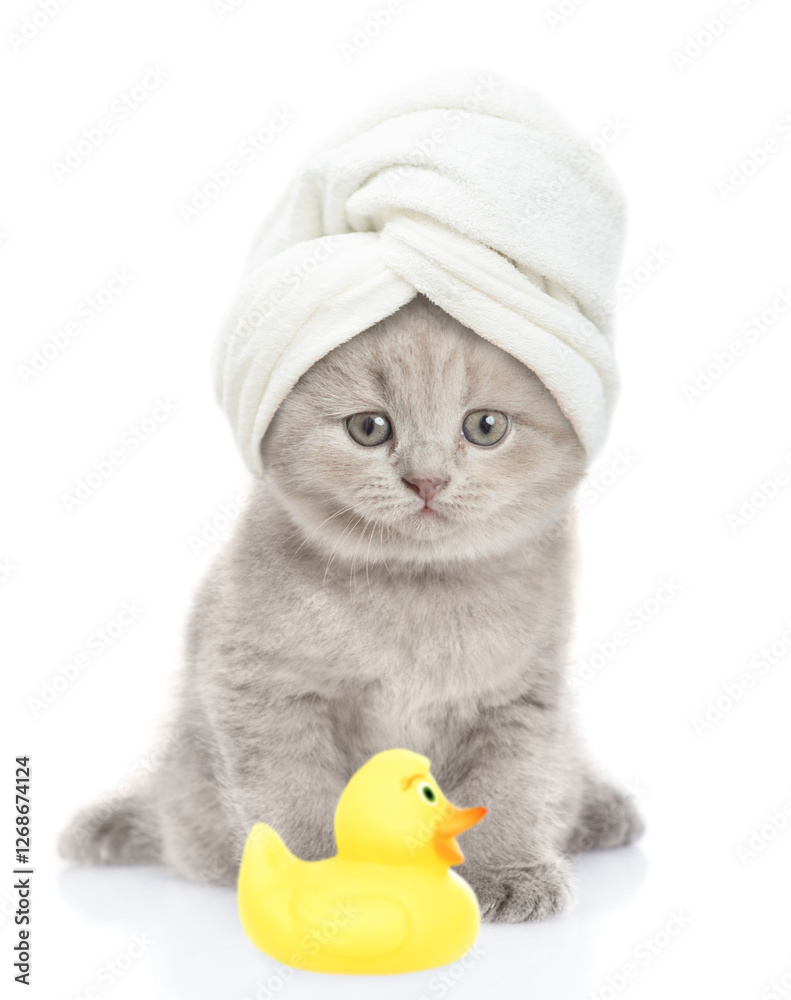 Aufkleber Funny kitten with towel on it head sitting in front view with rubber duck and looking at camera. isolated on white background