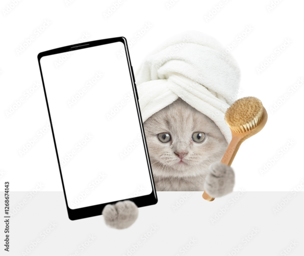 Fototapete cute tiny kitten with towel on it head holds big smartphone with white blank screen in it paw above 