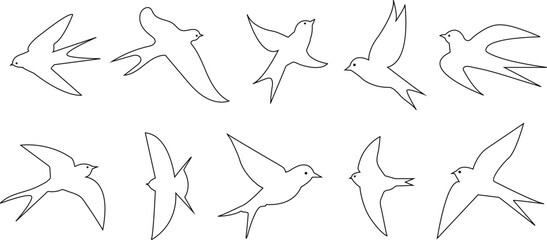 Swallow bird  silhouettes vector illustration set