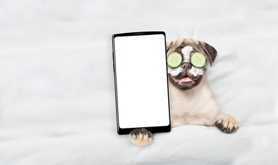 Funny Pug puppy with cream on his face, with pieces of cucumber on his eyes relaxing on the bed at...