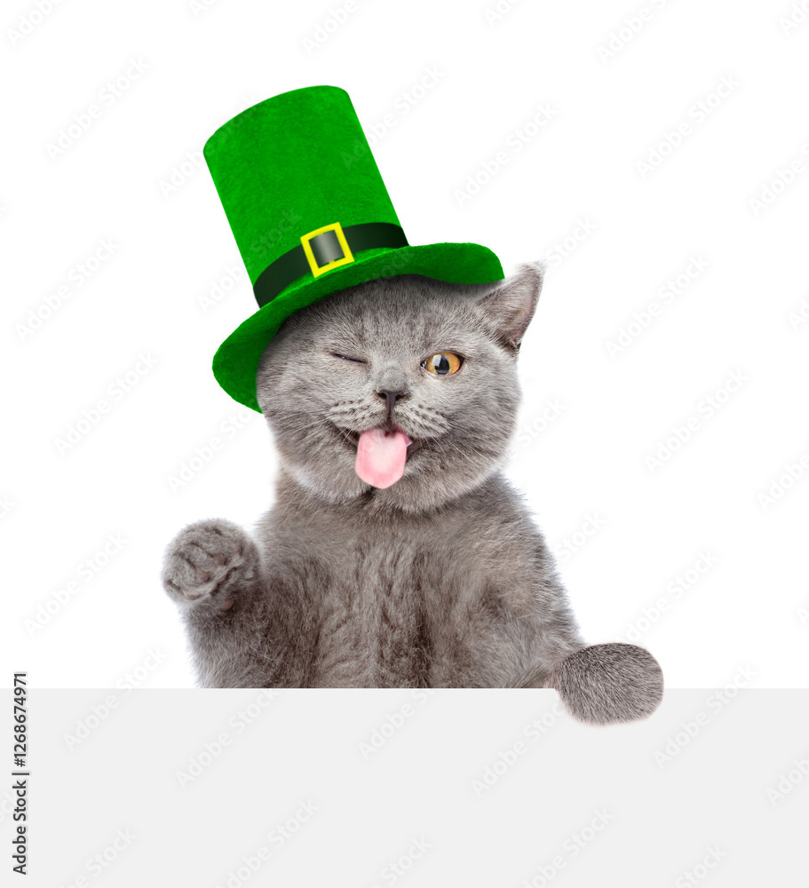 Poster st. patricks day. funny cat wearing green hat and behind white banner with pointing stick. isolated 
