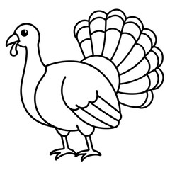 Minimalist Turkey Line Art Vector