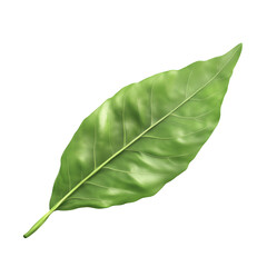 Obraz premium 3d green leaf